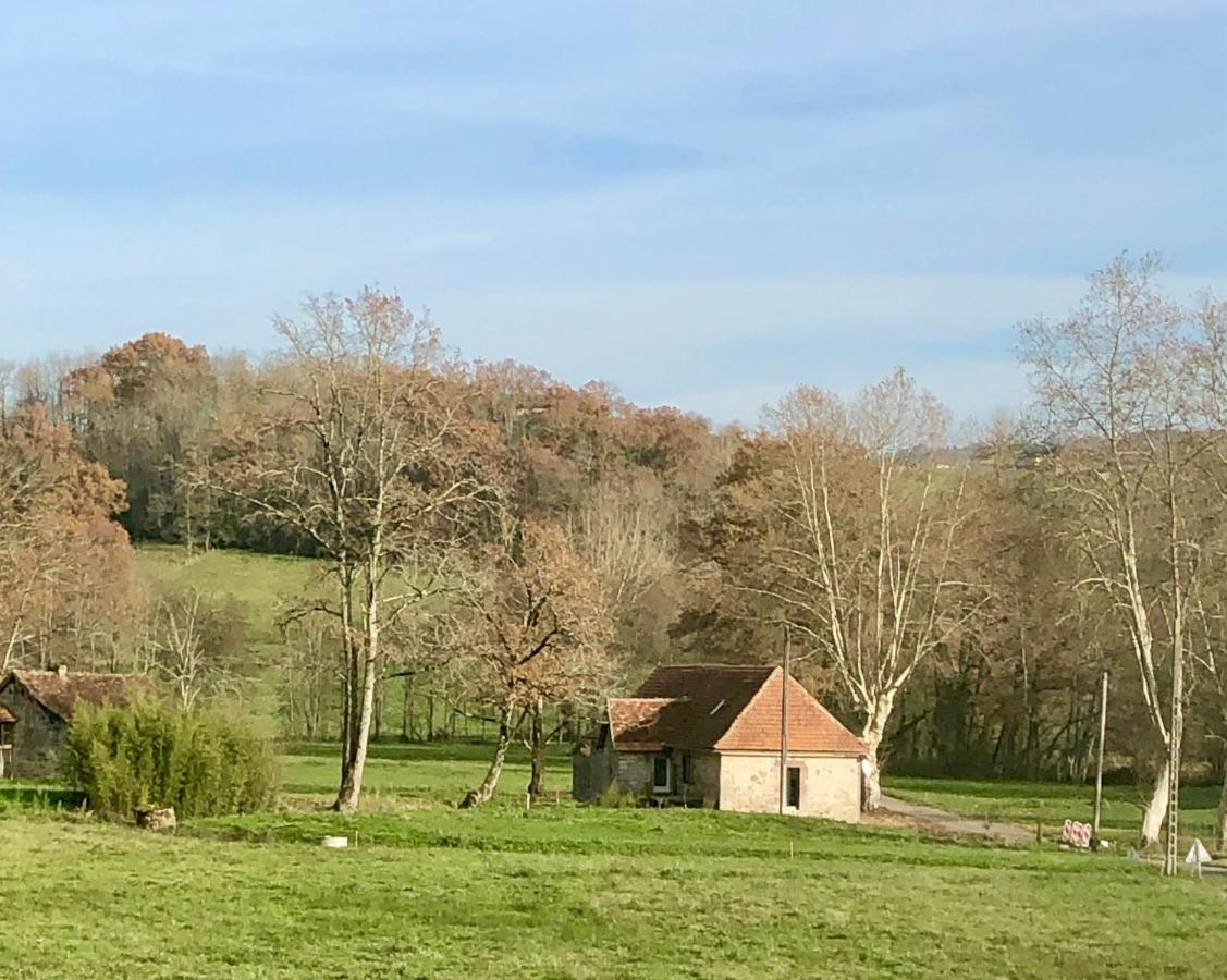 Le Moulin De Lassalle Curemonte ภายนอก รูปภาพ